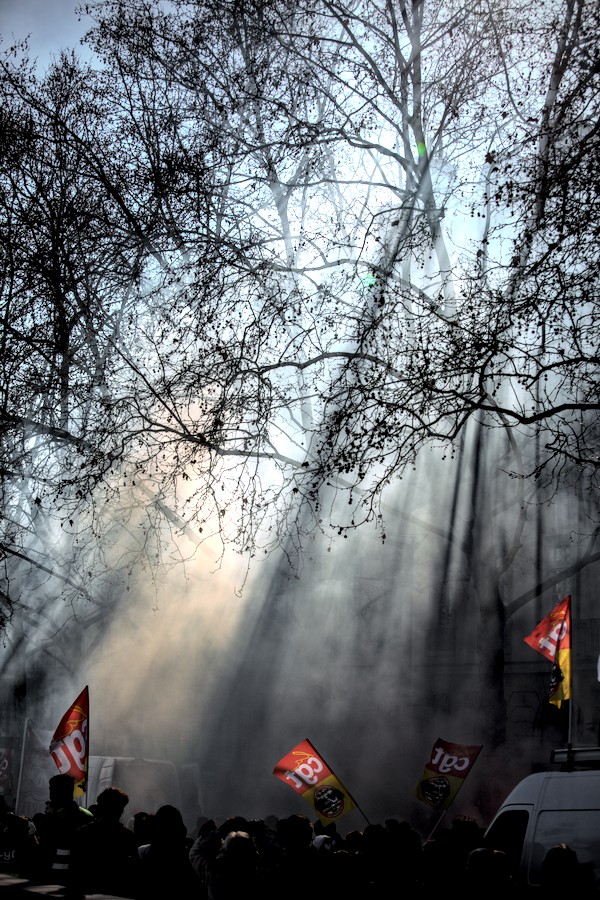 La lumière tombe à travers les arbres, éclairant dans la fumée des drapeaux rouges de la CGT.